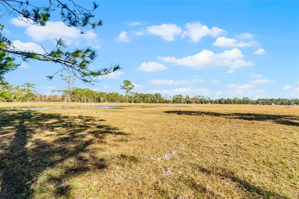 2120 St Johns River Road Astor, FL 32102 - Photo 18 of 23 a view of an ocean