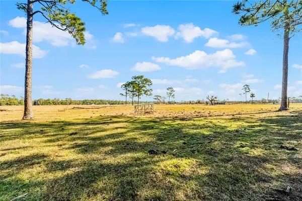 $1,250,000 | 2120 St Johns River Road, Astor, FL 32102