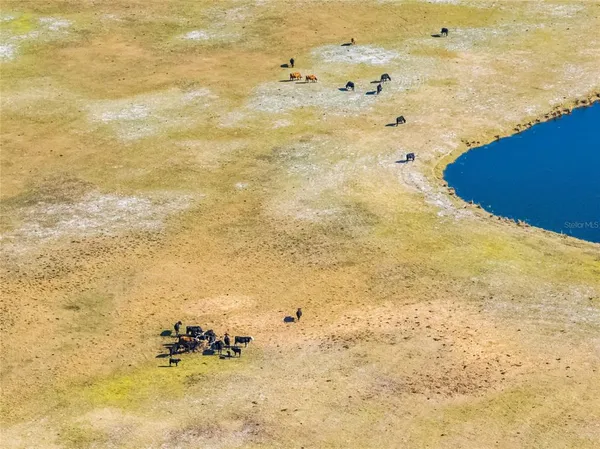 a view of beach and ocean