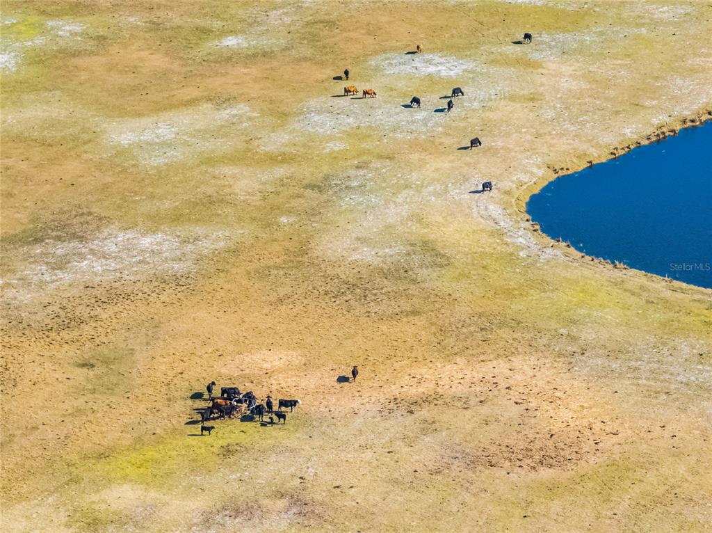 2120 St Johns River Road Astor, FL 32102 - Photo 4 of 23 a view of beach and ocean