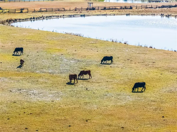 a view of an ocean and beach