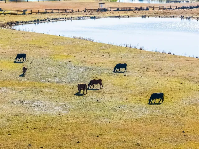 a view of an ocean and beach