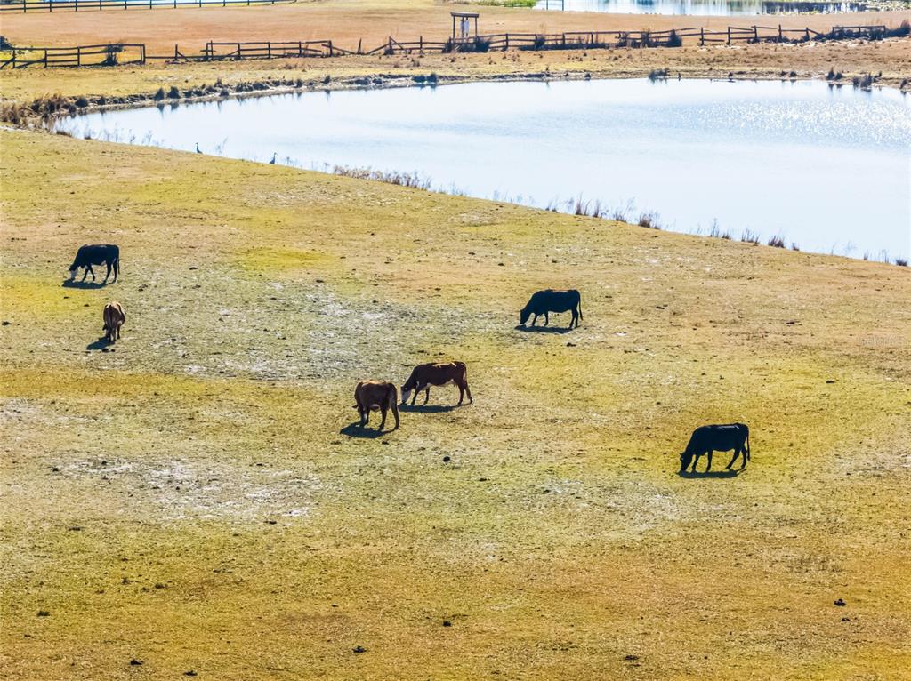 2120 St Johns River Road Astor, FL 32102 - Photo 7 of 23 a view of an ocean and beach