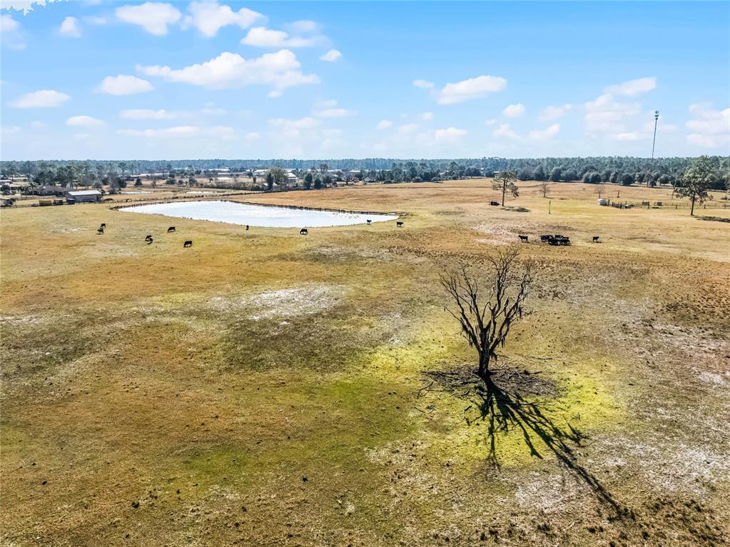 2120 St Johns River Road Astor, FL 32102 - Photo 8 of 23