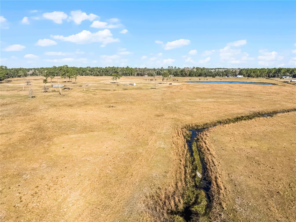 2120 St Johns River Road Astor, FL 32102 - Photo 10 of 23 a view of an ocean