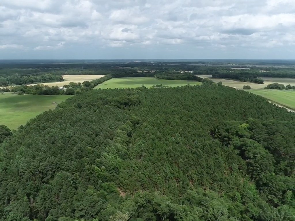75/ Nuclear Plant Road Columbia, AL 36319 - Photo 25 of 34