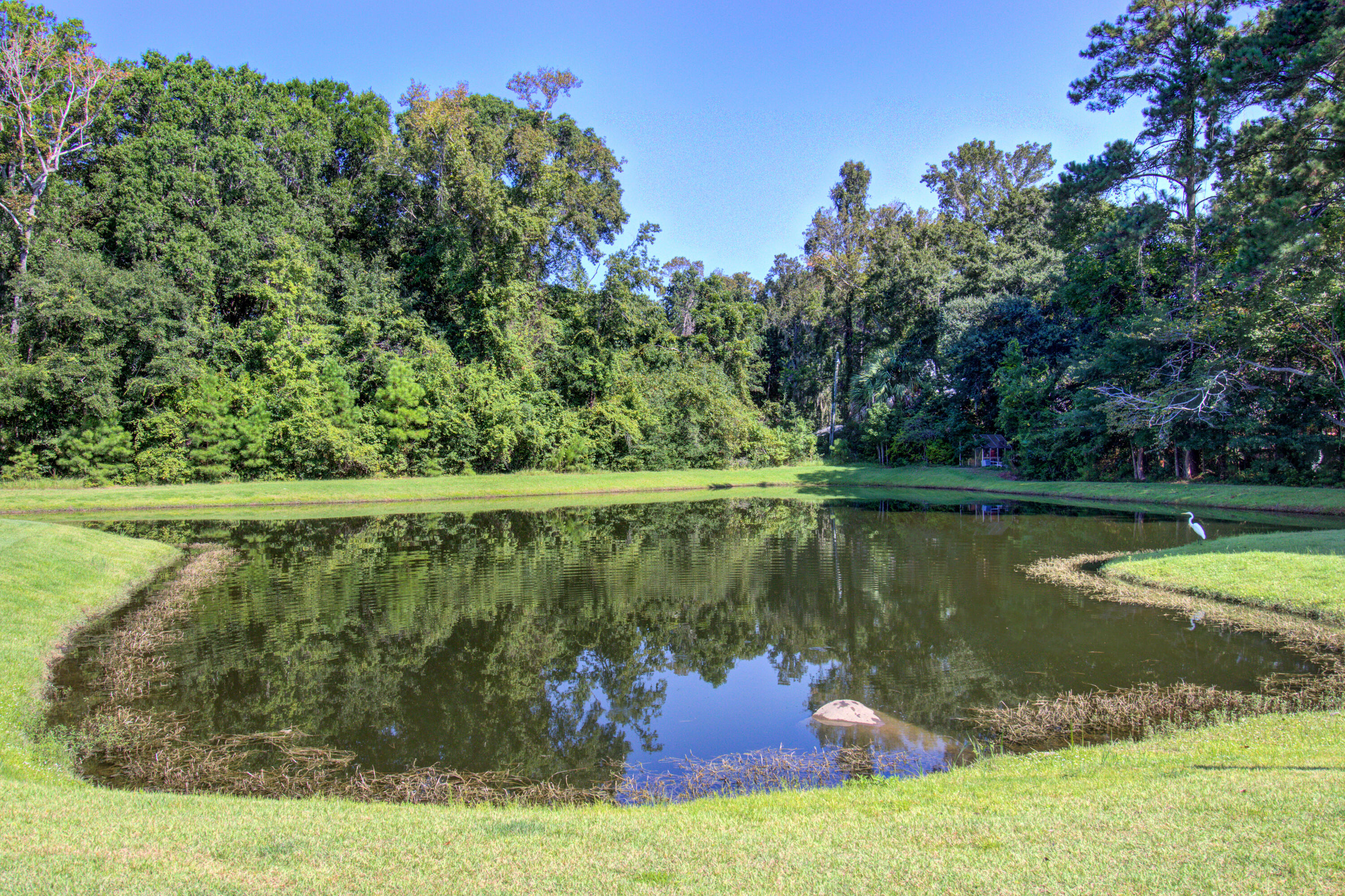 1330 Reader Path Mount Mount Pleasant, SC 29464 - Photo 39 of 39 1330 (44)