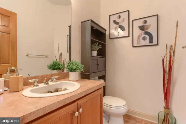 a view of a hallway with potted plants and couches