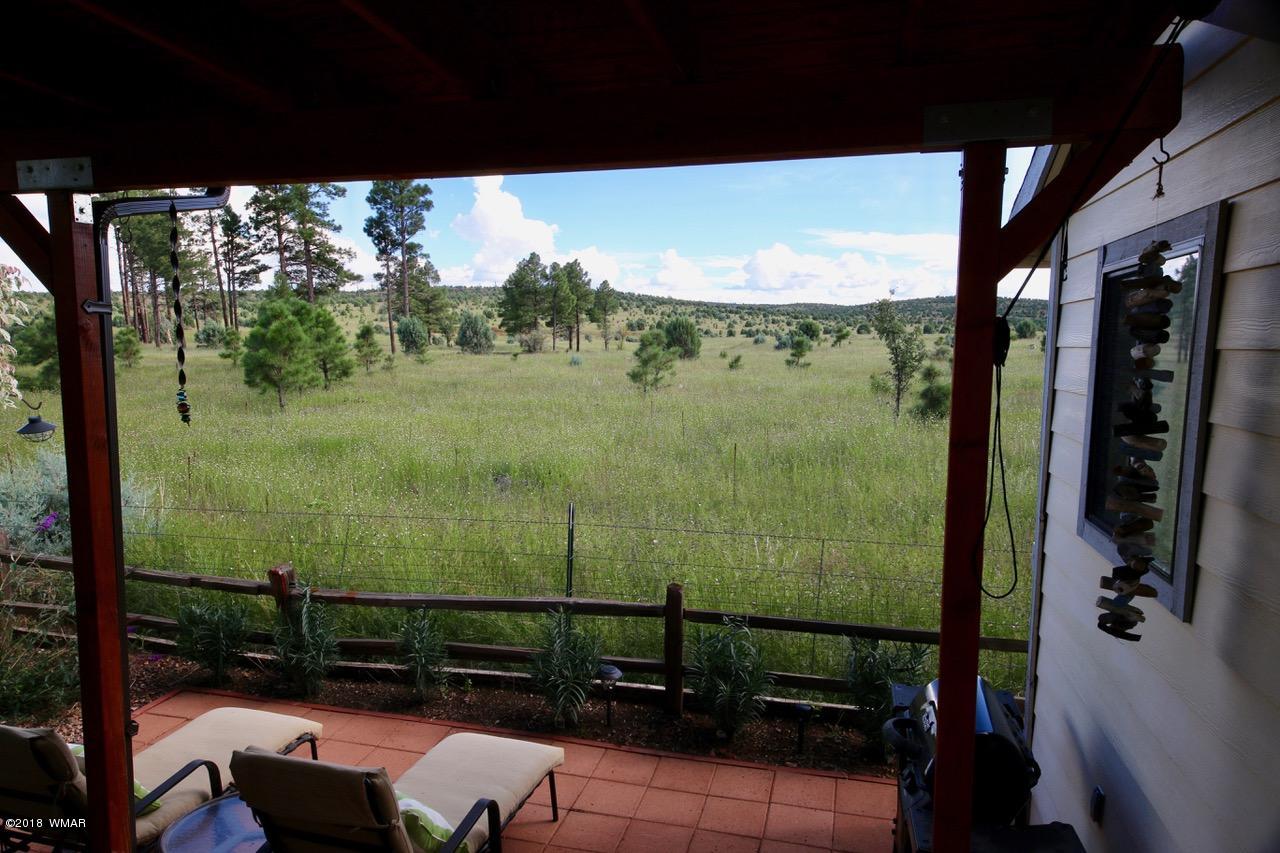 2225 Rodeo Road Overgaard, AZ 85933 - Photo 21 of 71