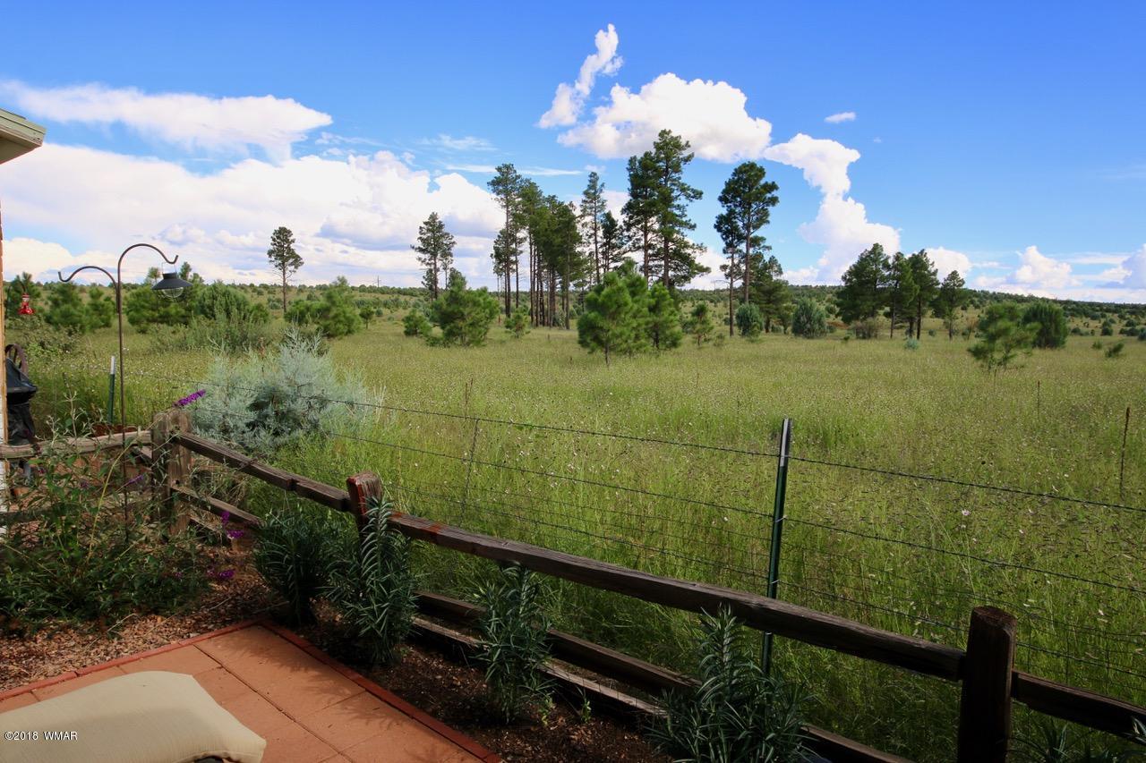 2225 Rodeo Road Overgaard, AZ 85933 - Photo 23 of 71