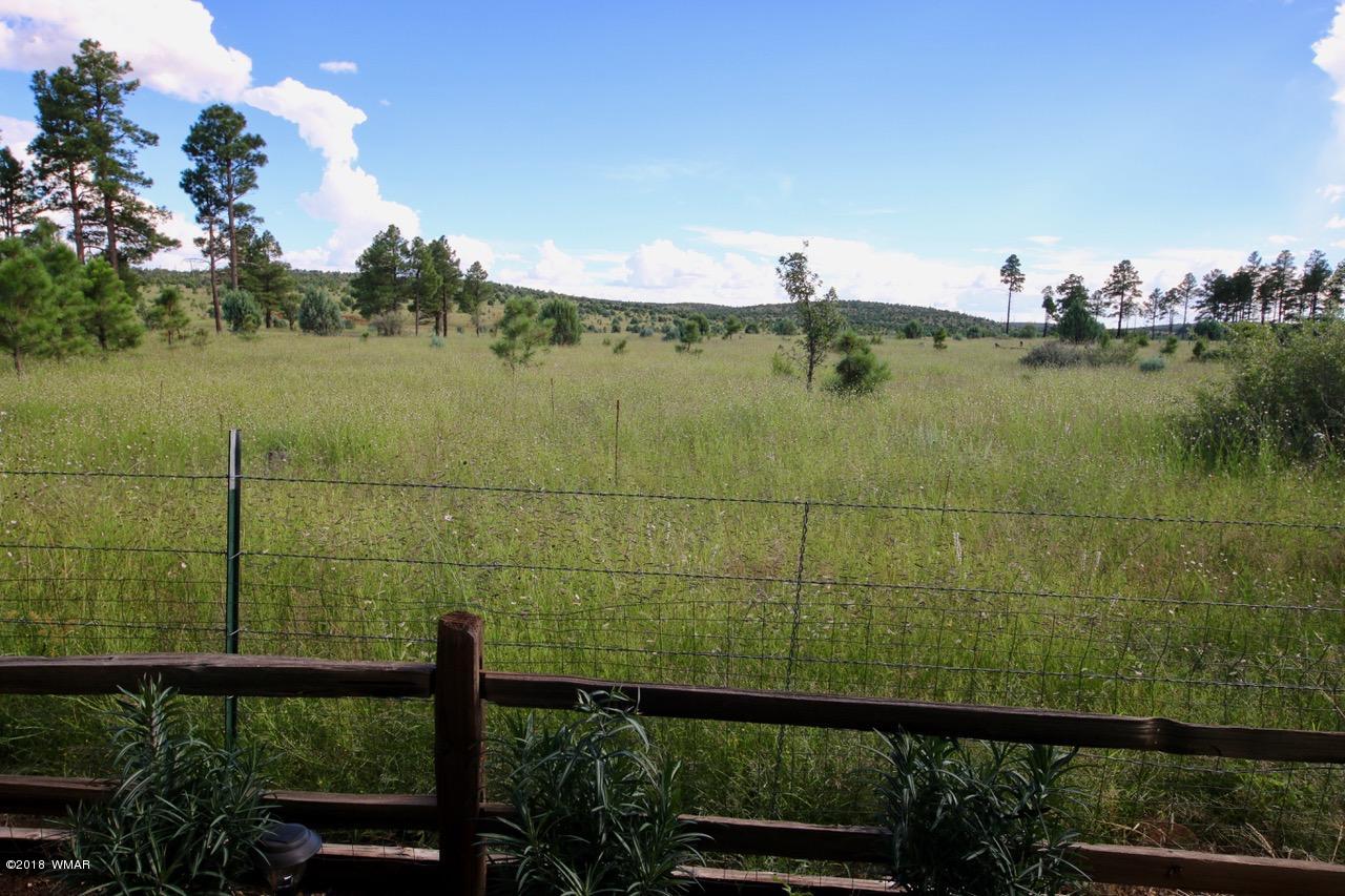 2225 Rodeo Road Overgaard, AZ 85933 - Photo 24 of 71