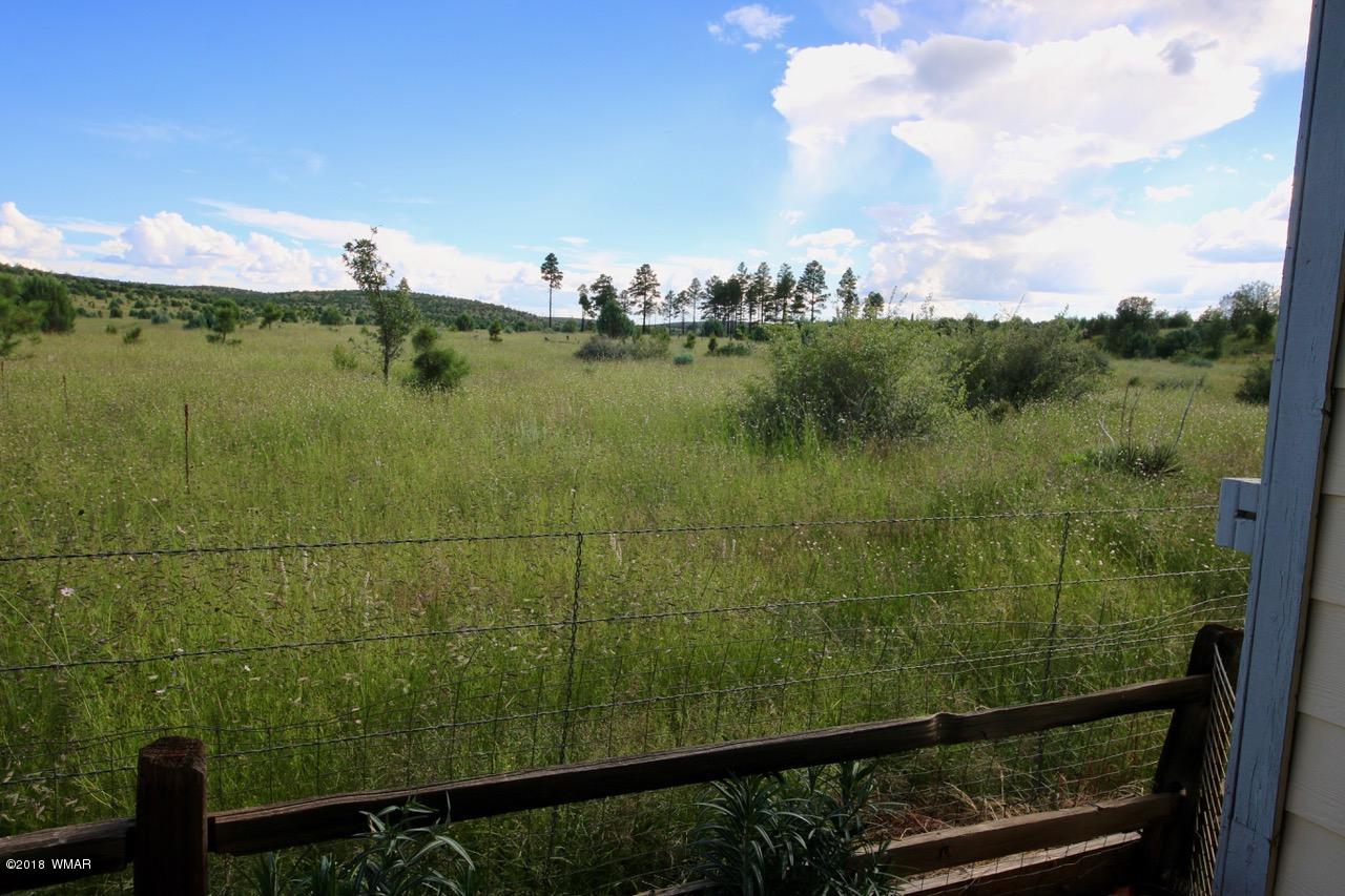 2225 Rodeo Road Overgaard, AZ 85933 - Photo 25 of 71