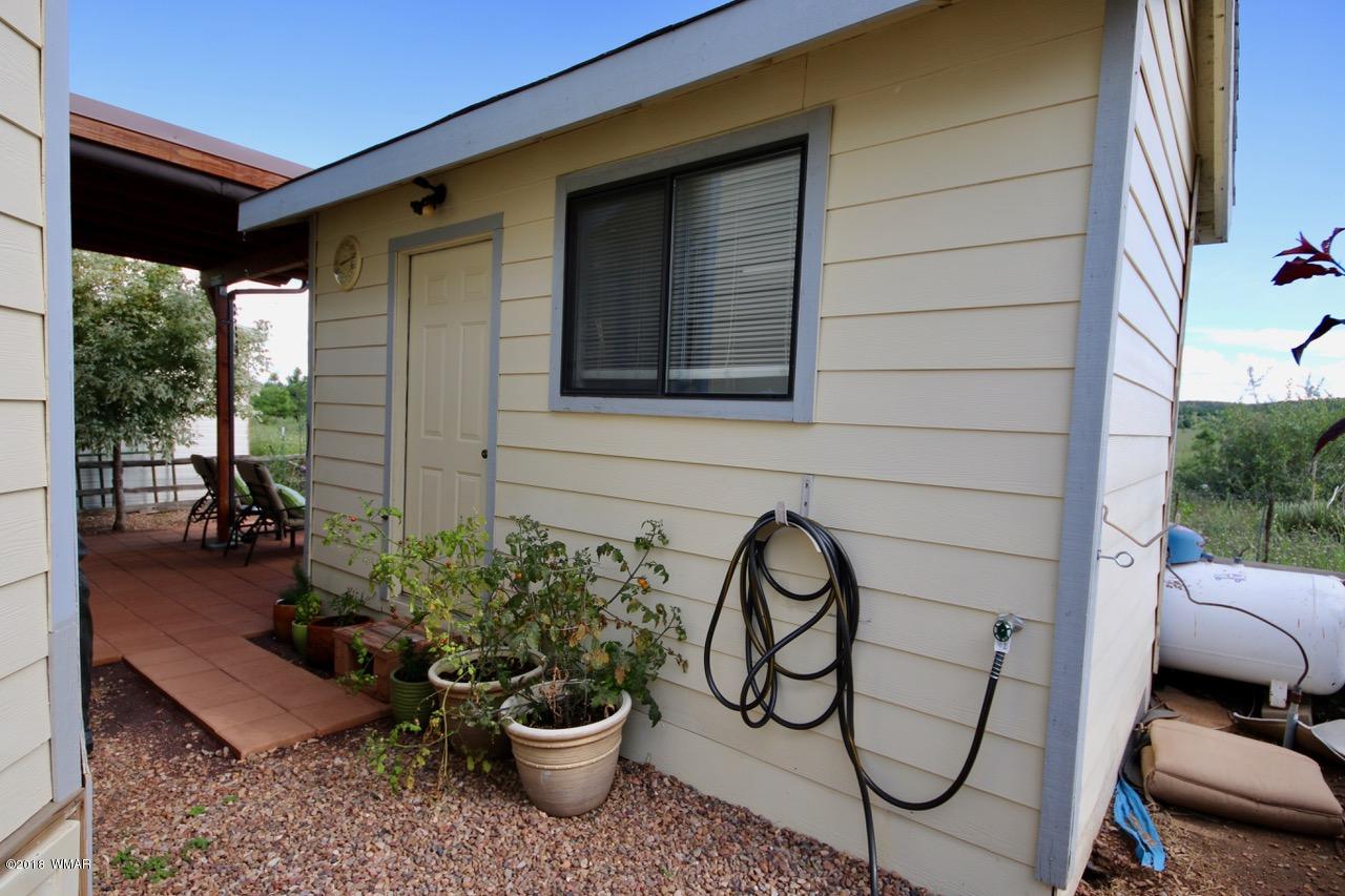 2225 Rodeo Road Overgaard, AZ 85933 - Photo 28 of 71