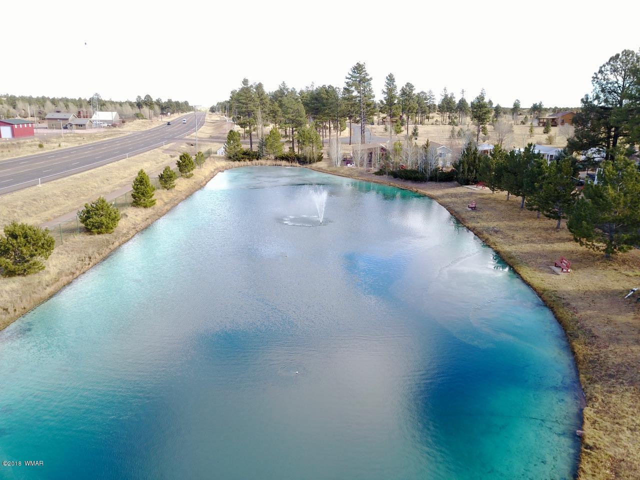 2225 Rodeo Road Overgaard, AZ 85933 - Photo 38 of 71