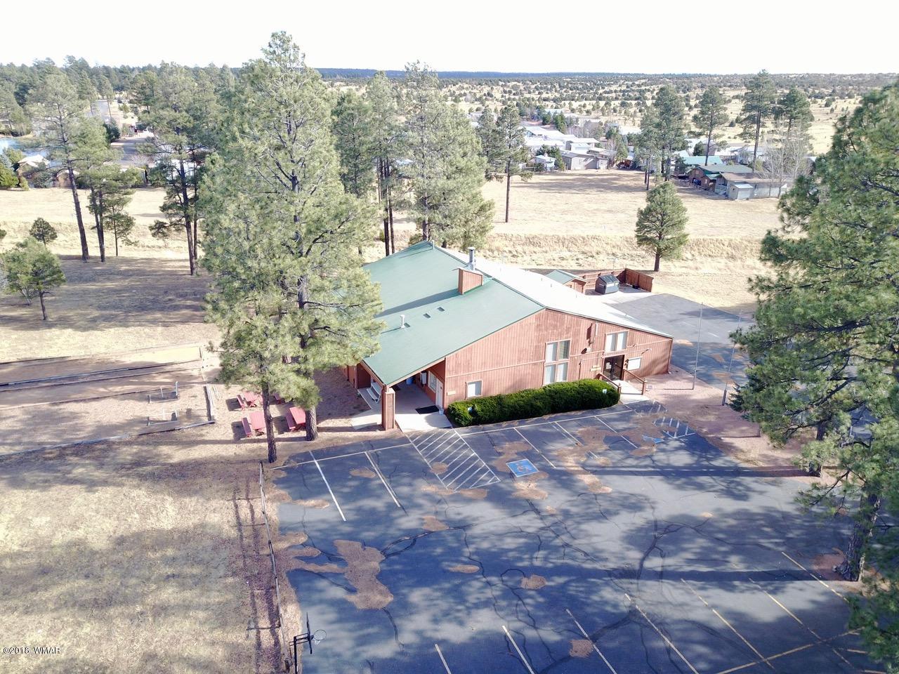 2225 Rodeo Road Overgaard, AZ 85933 - Photo 40 of 71