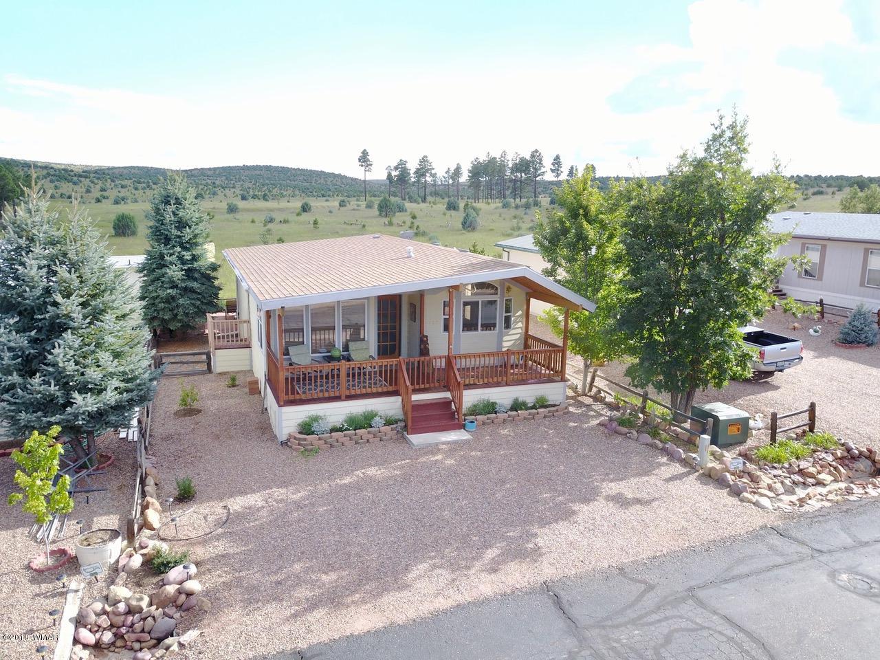 2225 Rodeo Road Overgaard, AZ 85933 - Photo 43 of 71