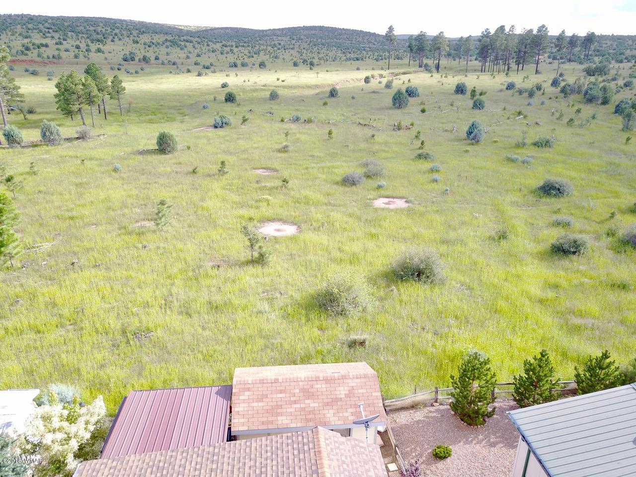 2225 Rodeo Road Overgaard, AZ 85933 - Photo 45 of 71