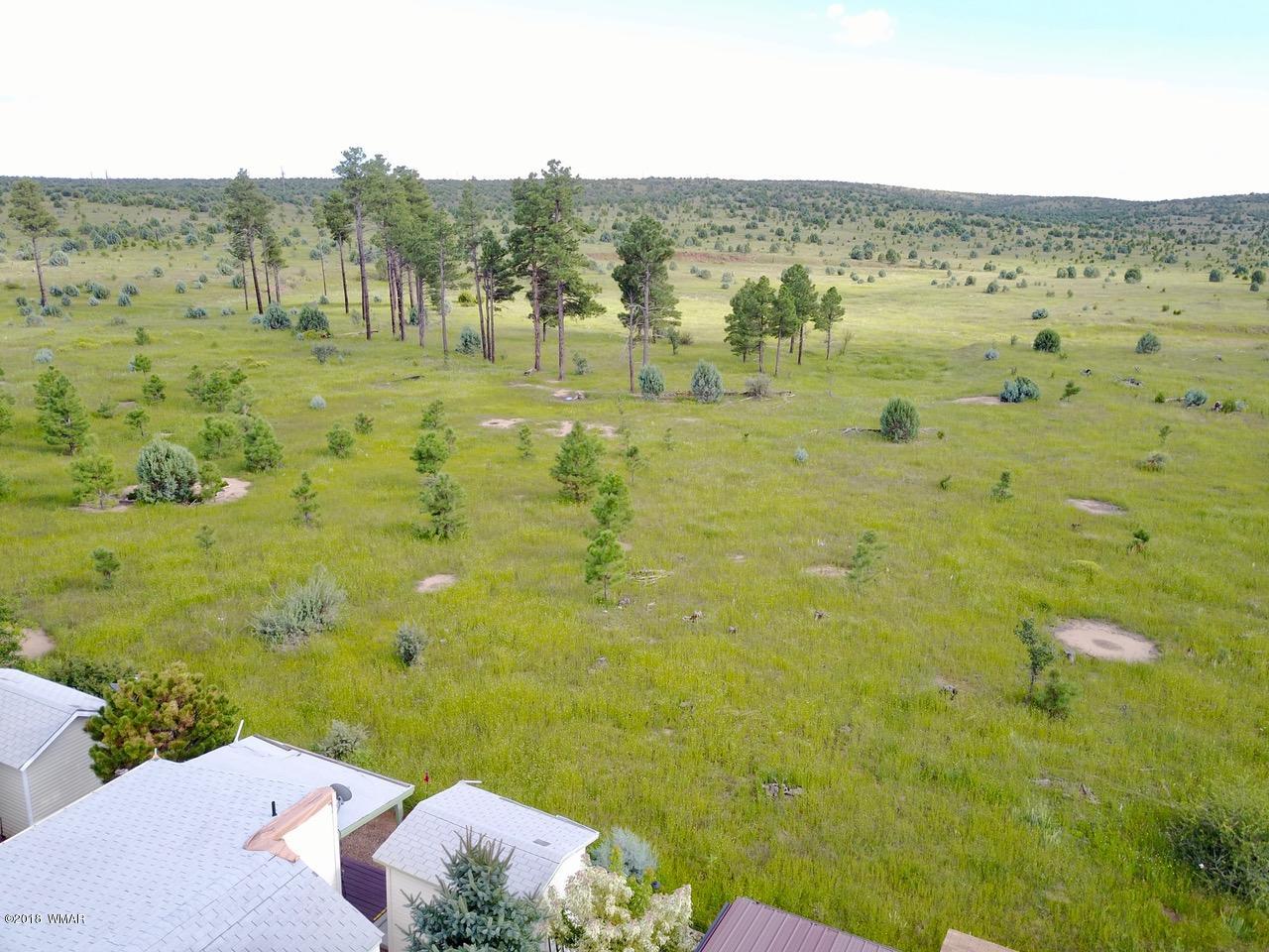 2225 Rodeo Road Overgaard, AZ 85933 - Photo 47 of 71
