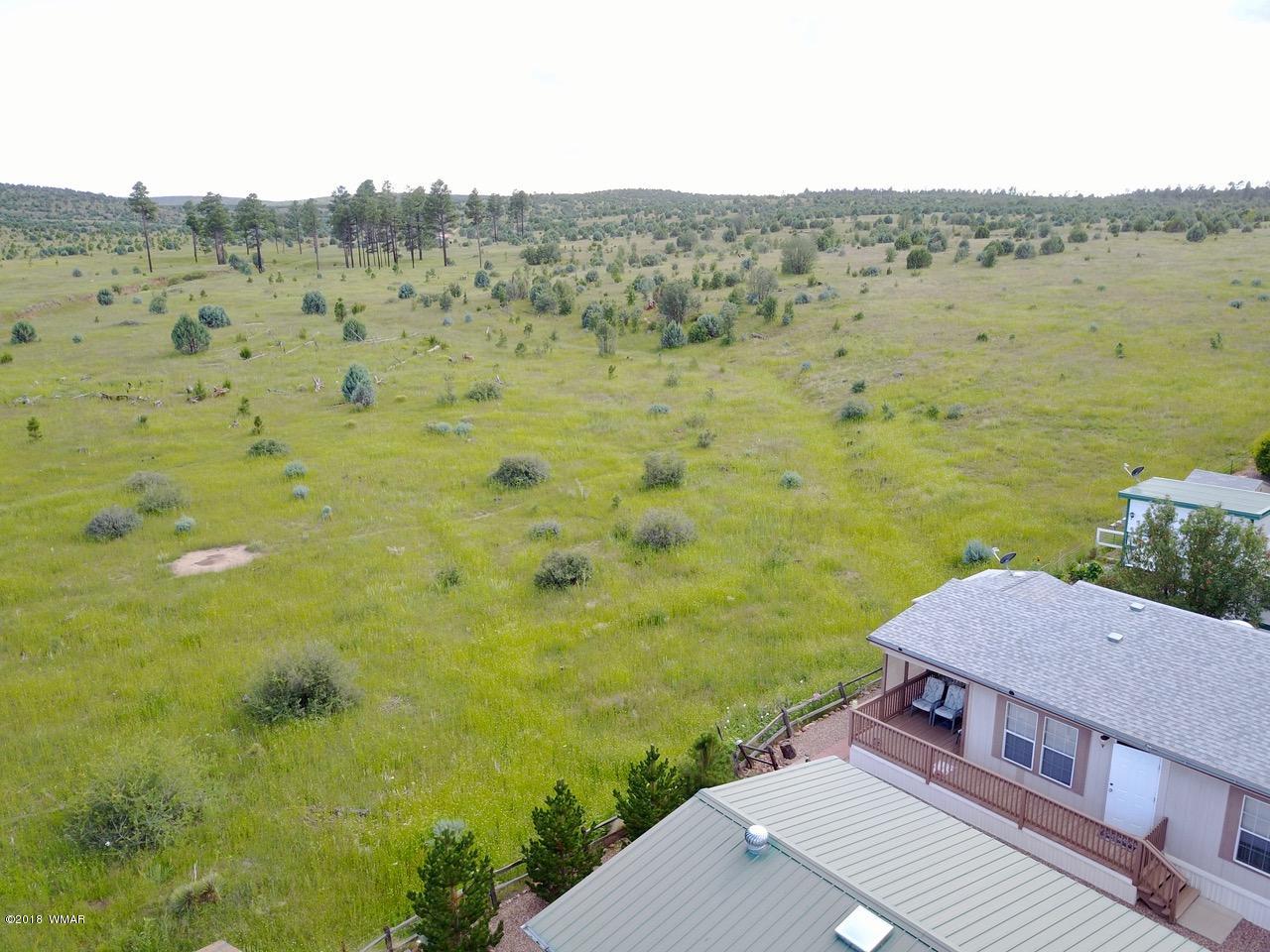 2225 Rodeo Road Overgaard, AZ 85933 - Photo 48 of 71