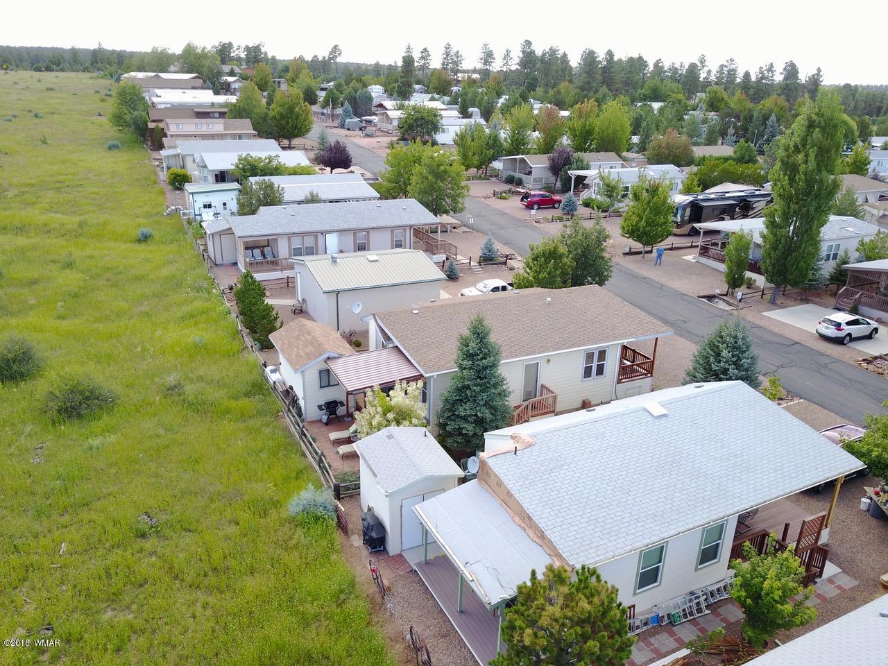 2225 Rodeo Road Overgaard, AZ 85933 - Photo 53 of 71