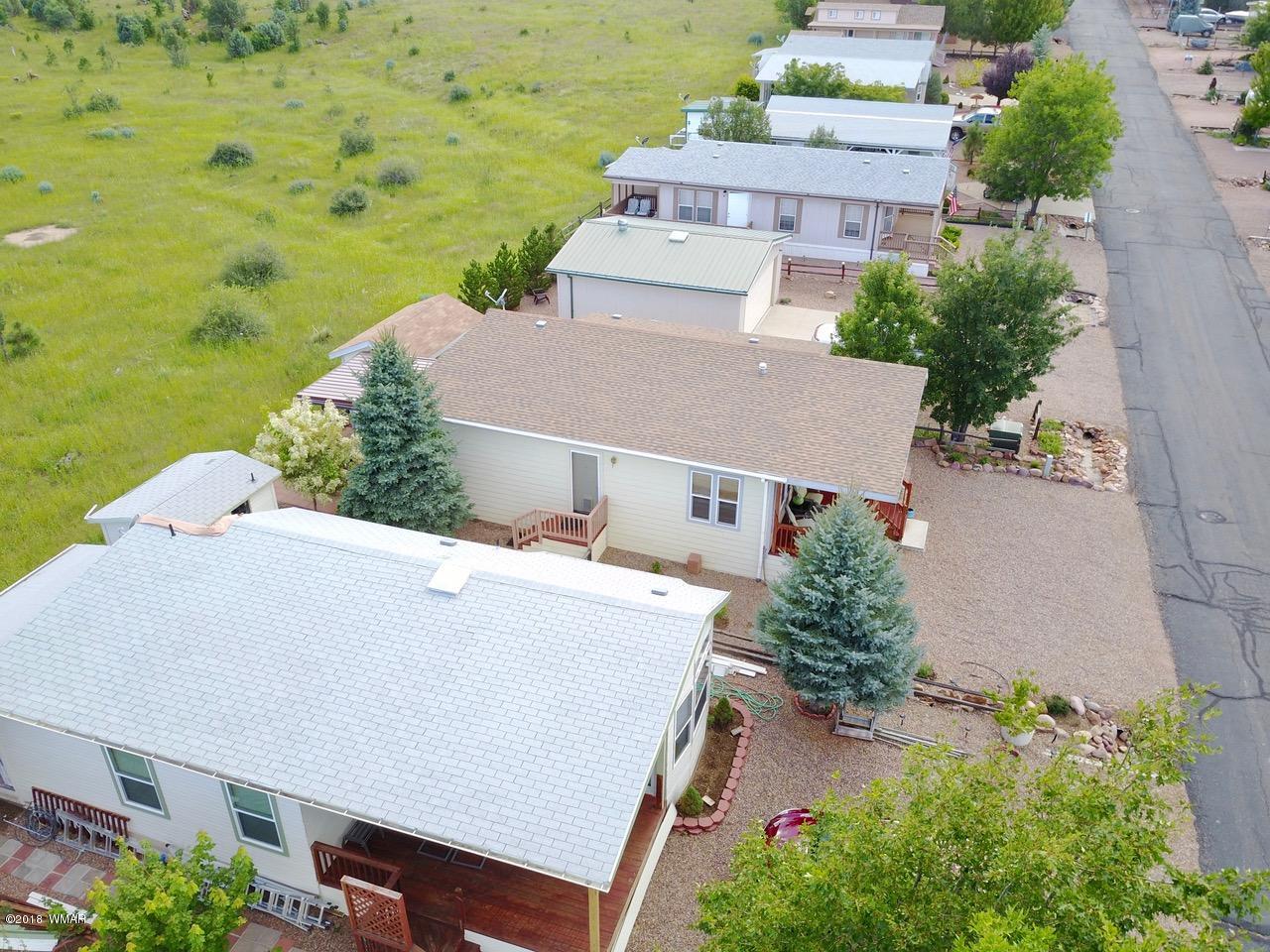 2225 Rodeo Road Overgaard, AZ 85933 - Photo 54 of 71