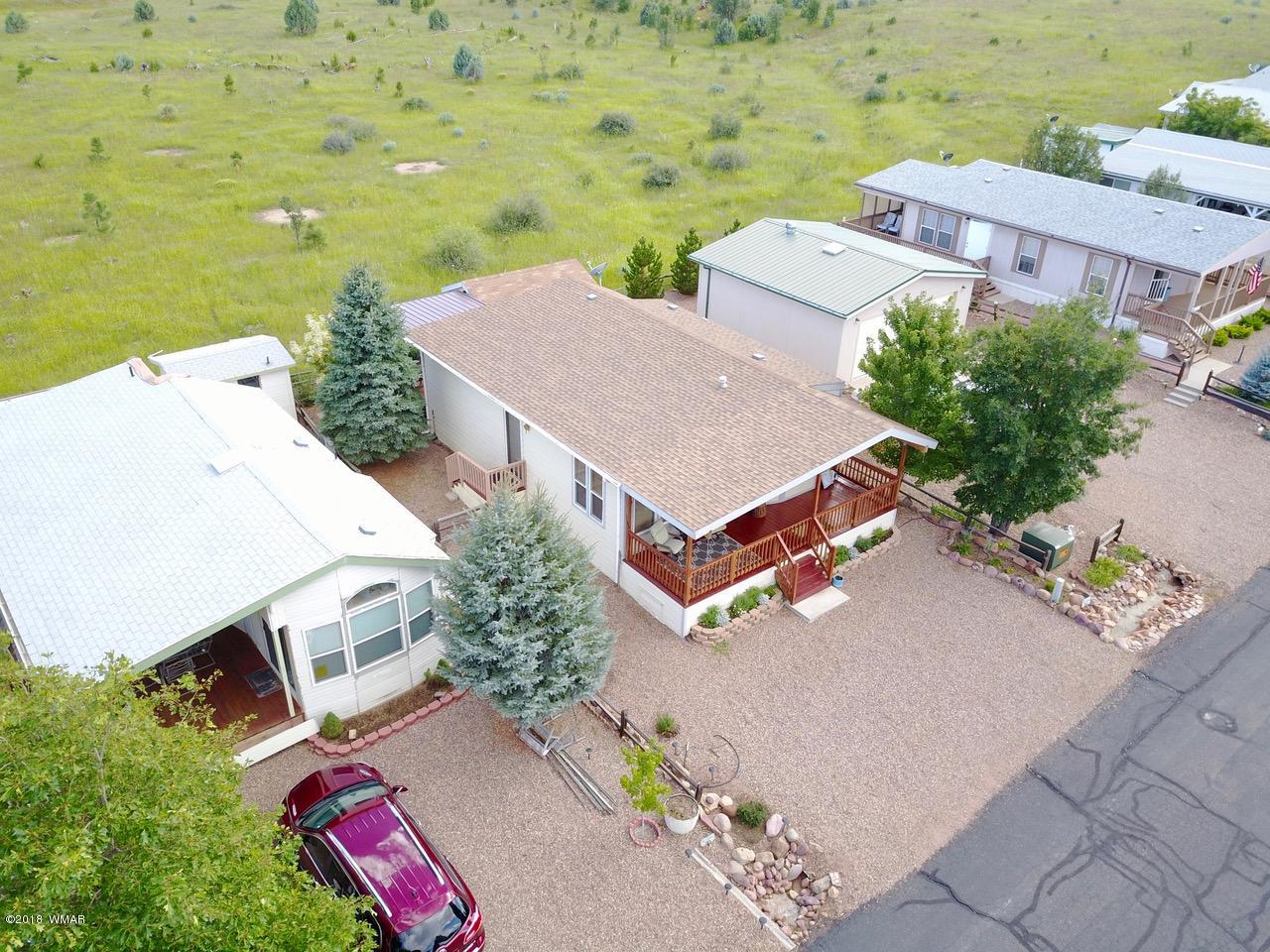 2225 Rodeo Road Overgaard, AZ 85933 - Photo 55 of 71