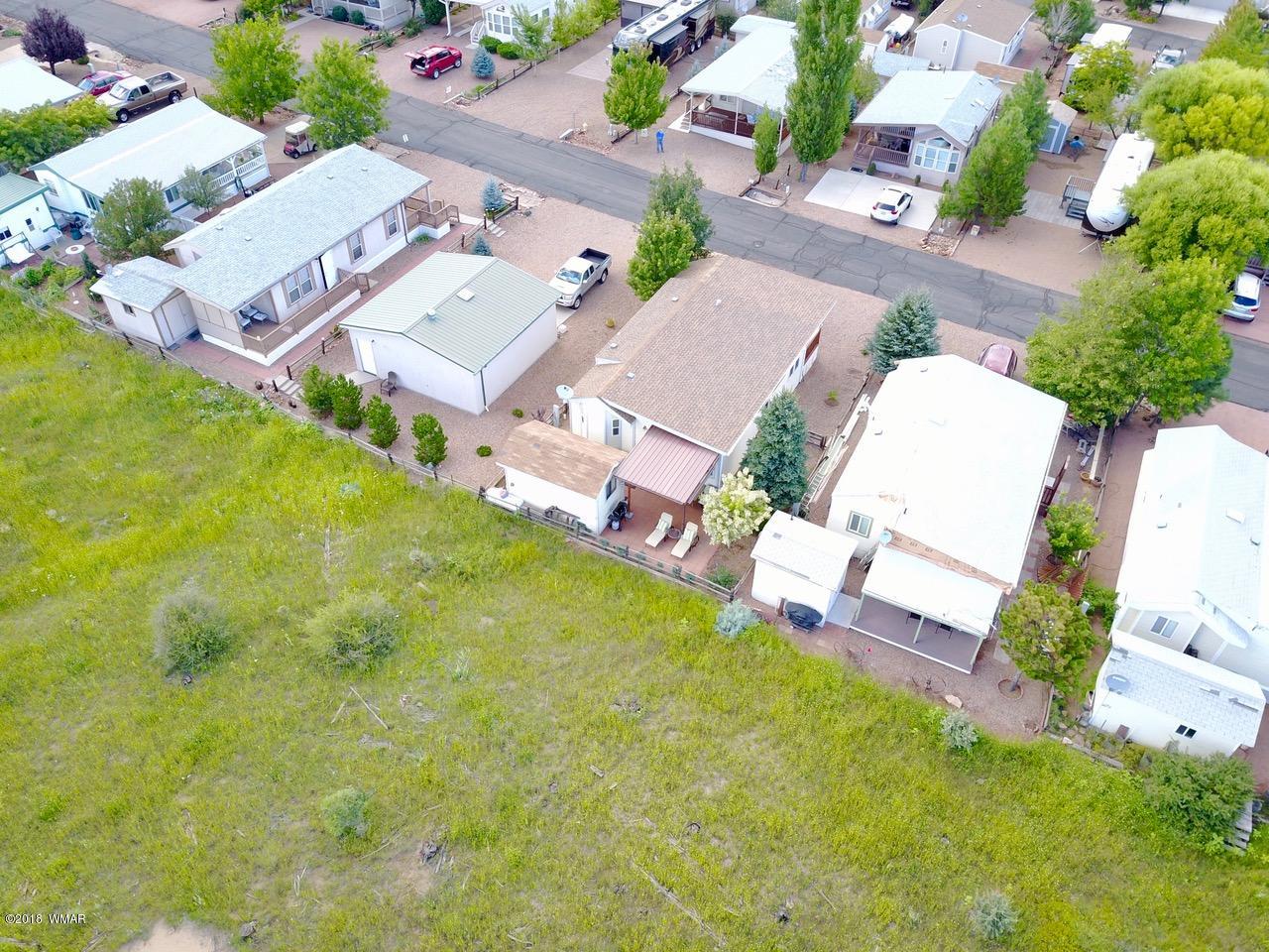 2225 Rodeo Road Overgaard, AZ 85933 - Photo 60 of 71