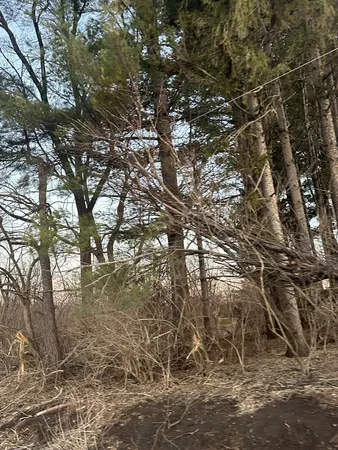 a backyard of a house with lots of trees