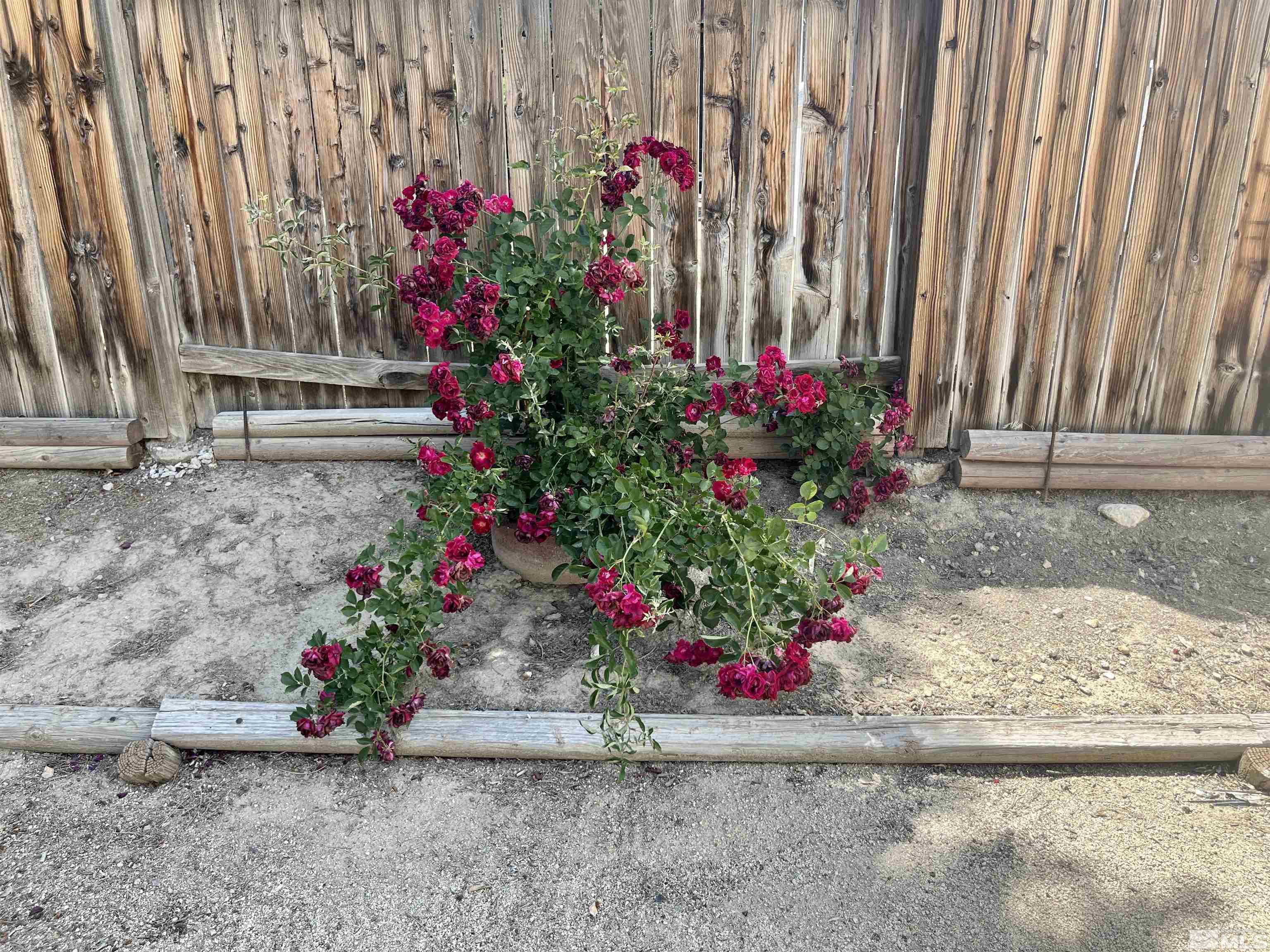 6310 Park Place Reno, NV 89523 - Photo 22 of 22 a small garden covered with wooden fence