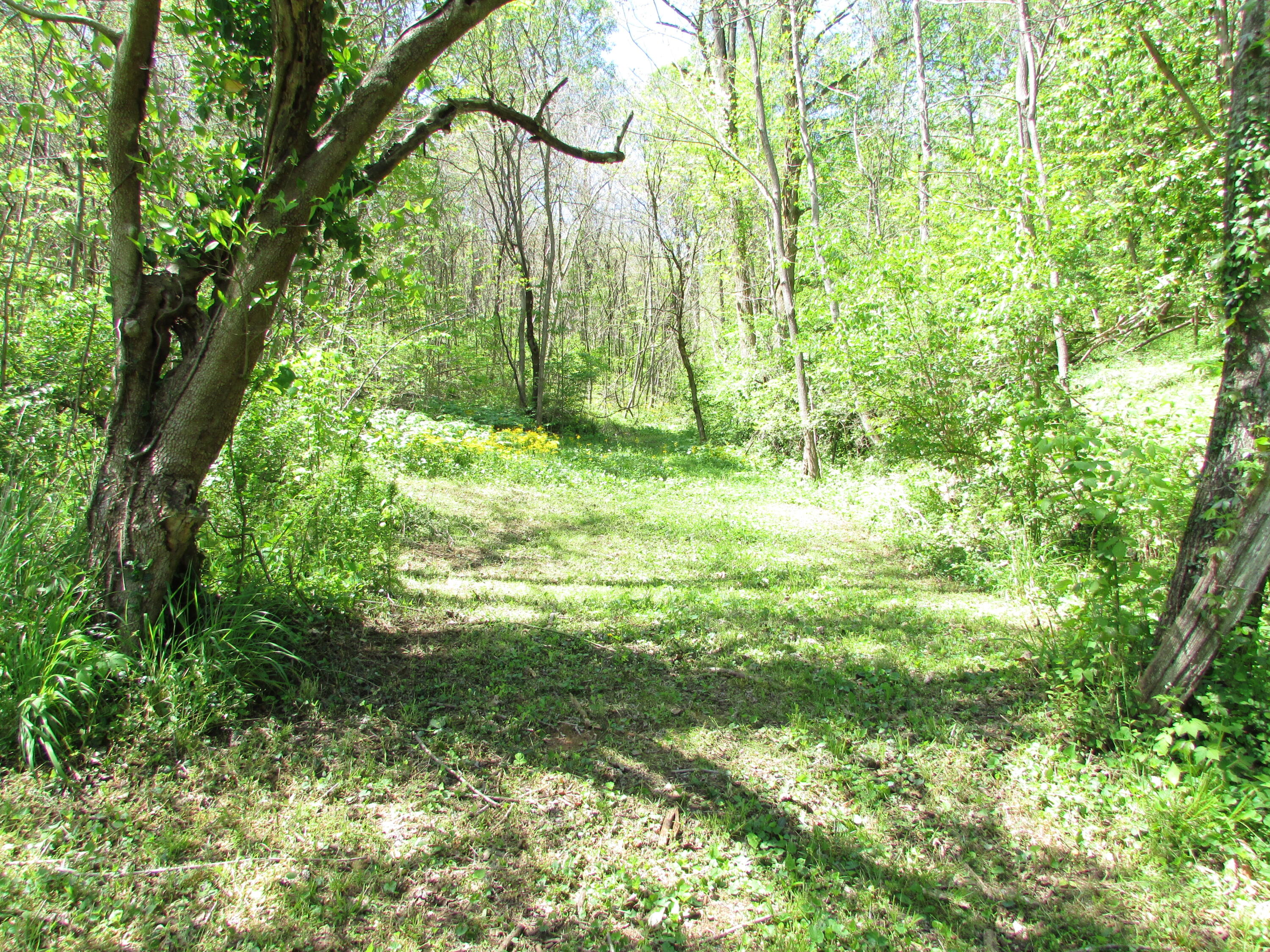1500 State Line Road, Unit 3 Elizabethton, TN 37643 - Photo 4 of 14 1500 Siam Road Elizabethton TN 37643 (4)