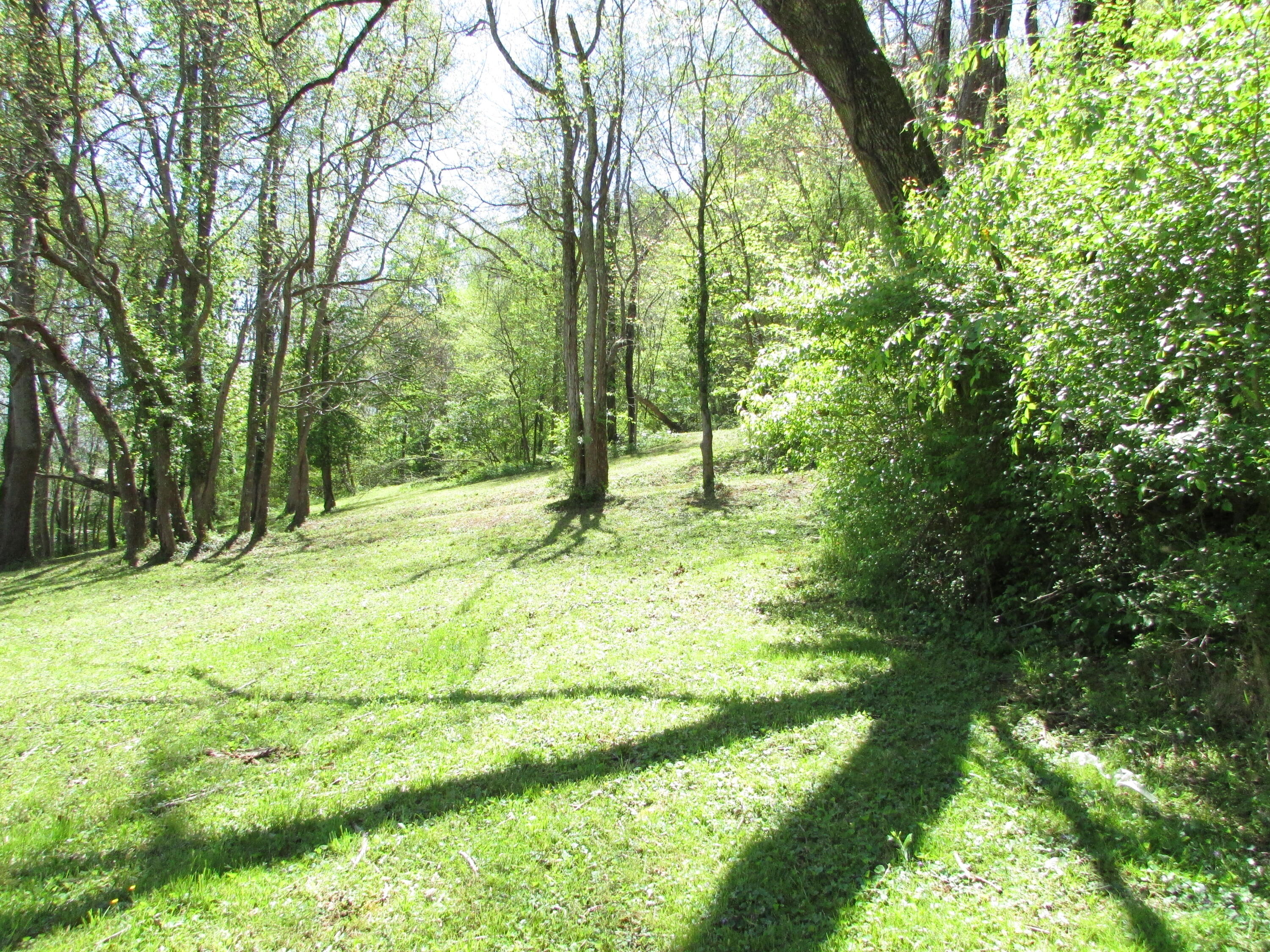 1500 State Line Road, Unit 3 Elizabethton, TN 37643 - Photo 8 of 14 1500 Siam Road Elizabethton TN 37643 (8)