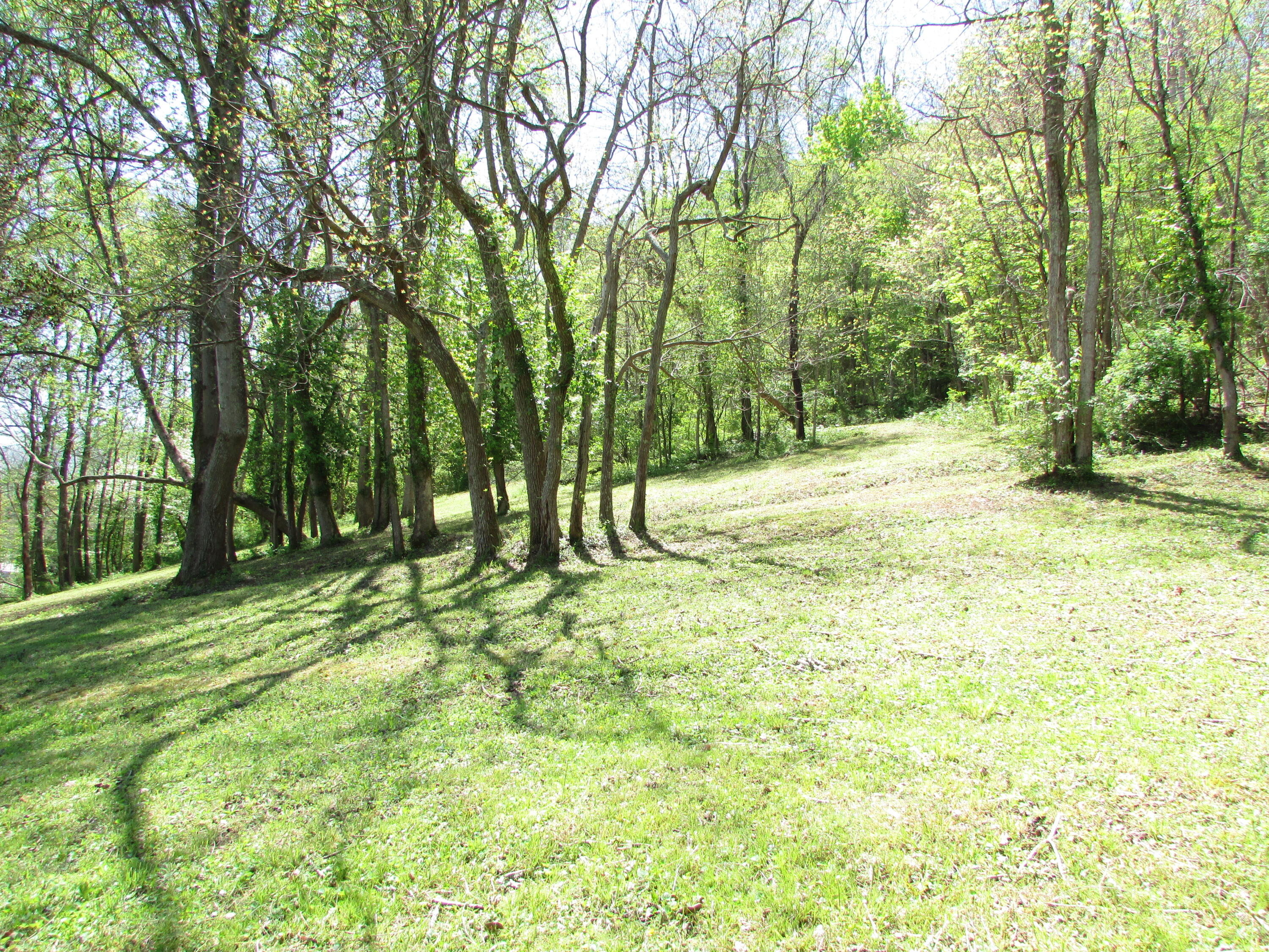 1500 State Line Road, Unit 3 Elizabethton, TN 37643 - Photo 10 of 14 1500 Siam Road Elizabethton TN 37643 (10