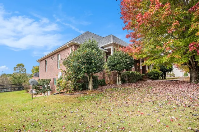 a backyard of a house with plants and tree