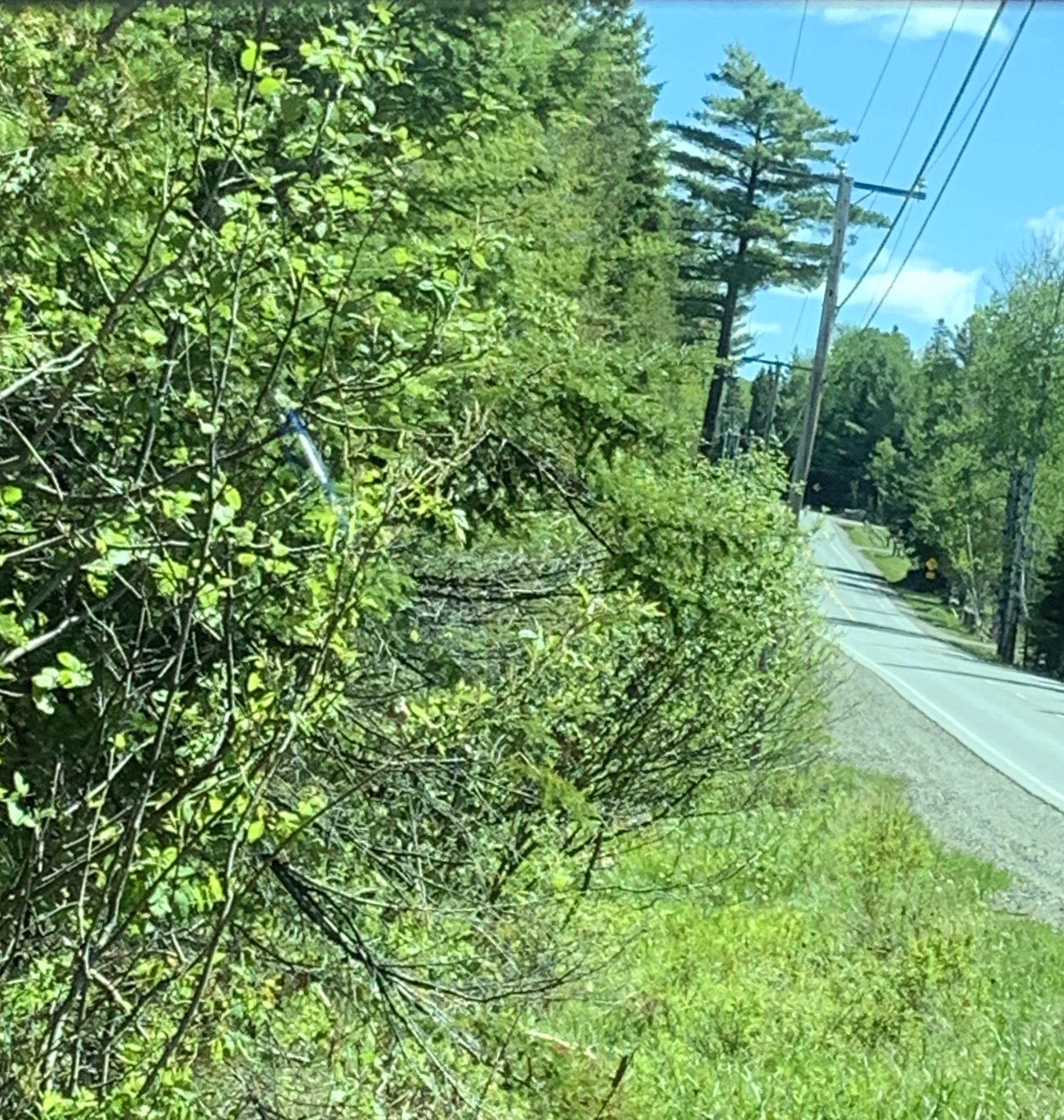 11 Stratton Road Rangeley, ME 04970 - Photo 3 of 10 714C14A8-A5F5-4C24-9CE1-7FE5491F1160_1_2