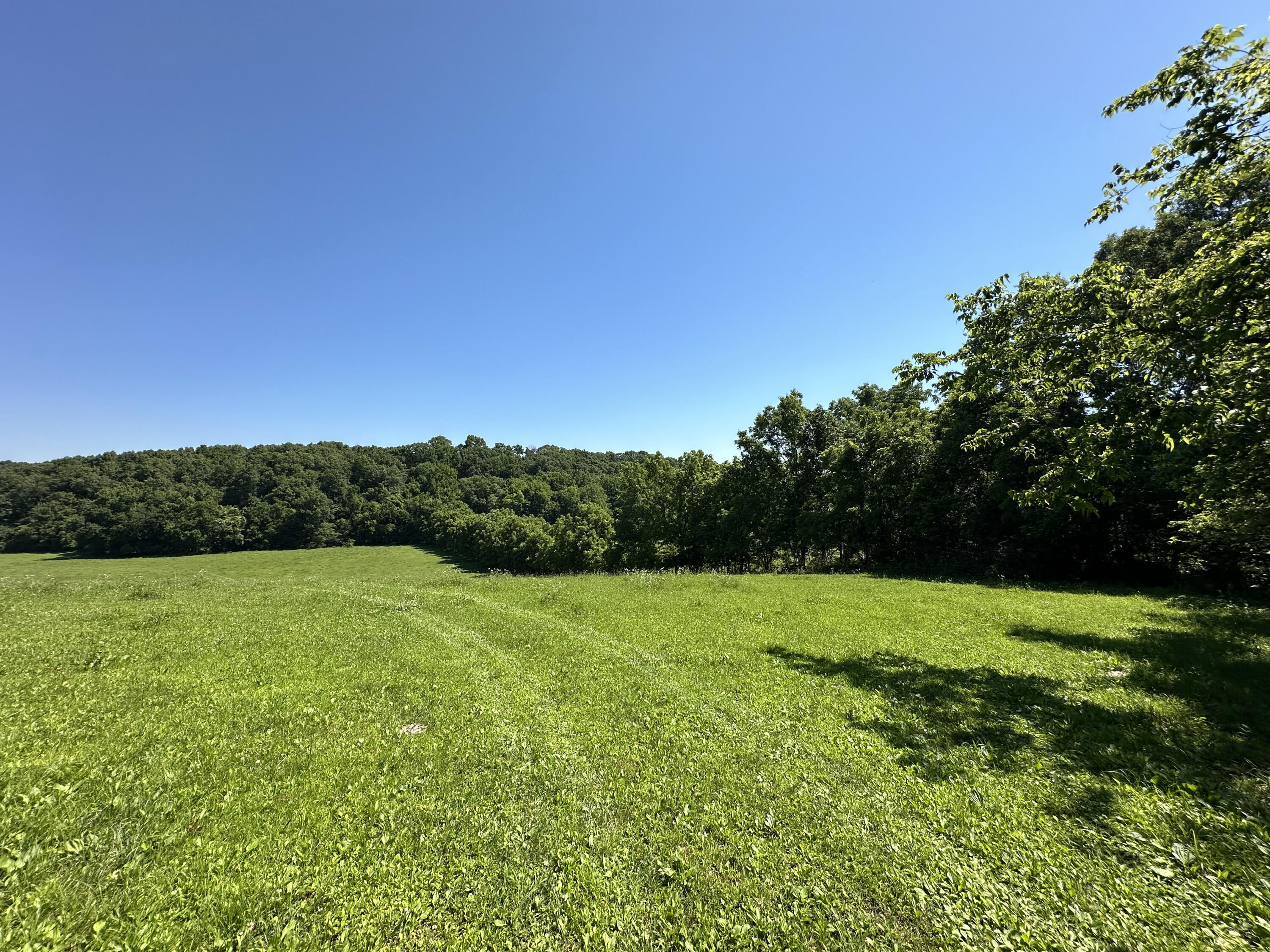 443 Marsha Road Billings, MO 65610 - Photo 7 of 25 IMG_1233-a