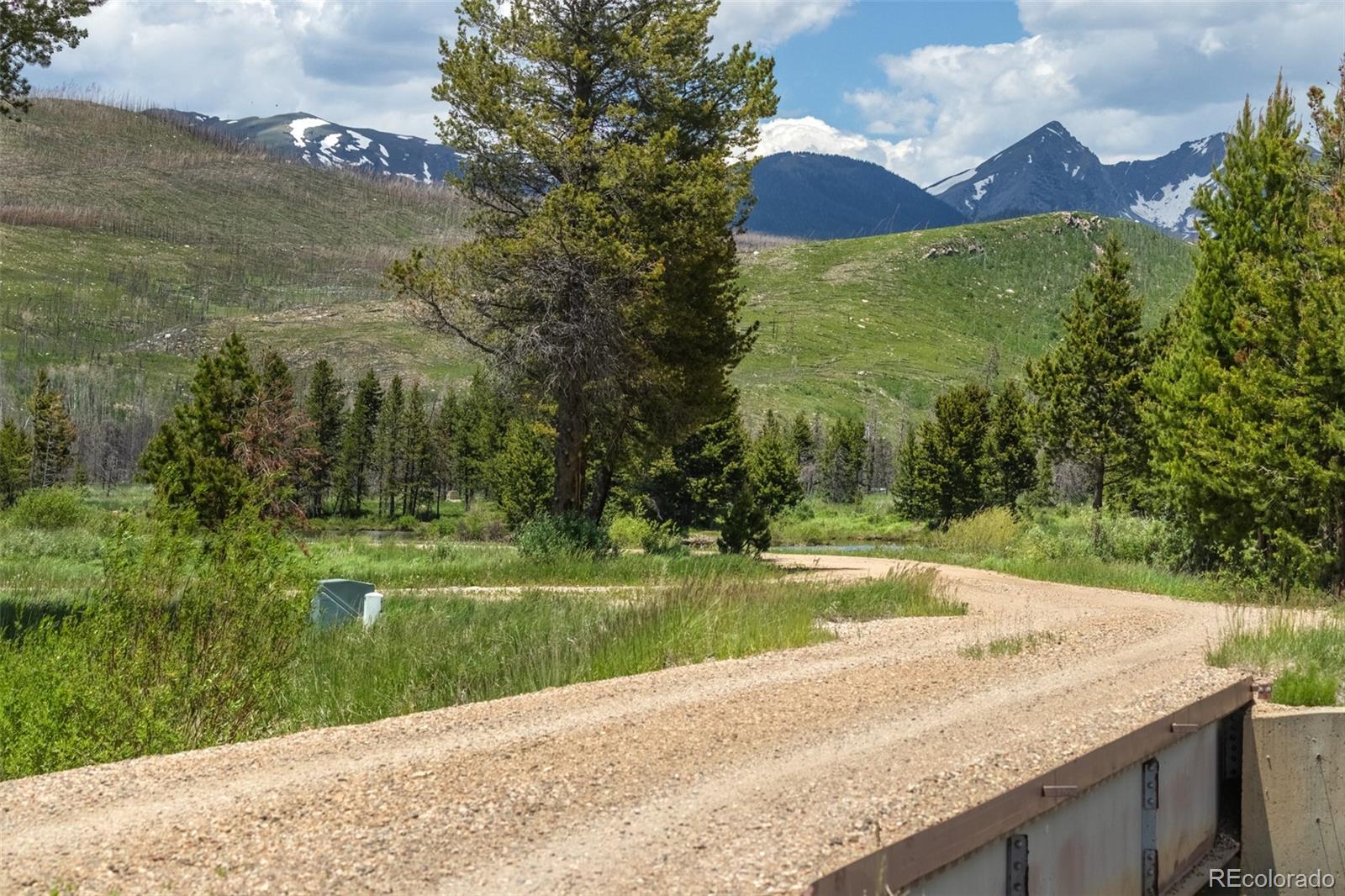 1443 Gcr 49 Grand Lake Grand Lake, CO 80447 - Photo 33 of 50 a view of a house with a yard