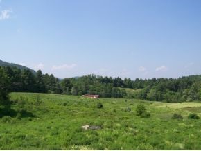 1 B Carey Road Hardwick, VT 05843 - Photo 2 of 4