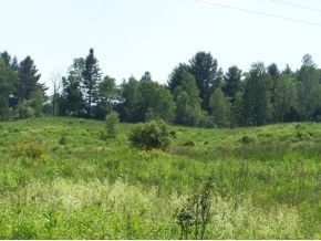 1 B Carey Road Hardwick, VT 05843 - Photo 3 of 4