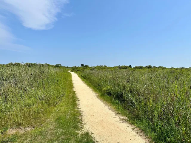 a view of a lake with a yard