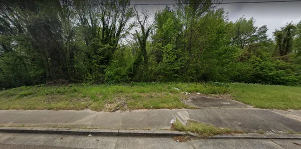 a view of a backyard with green space