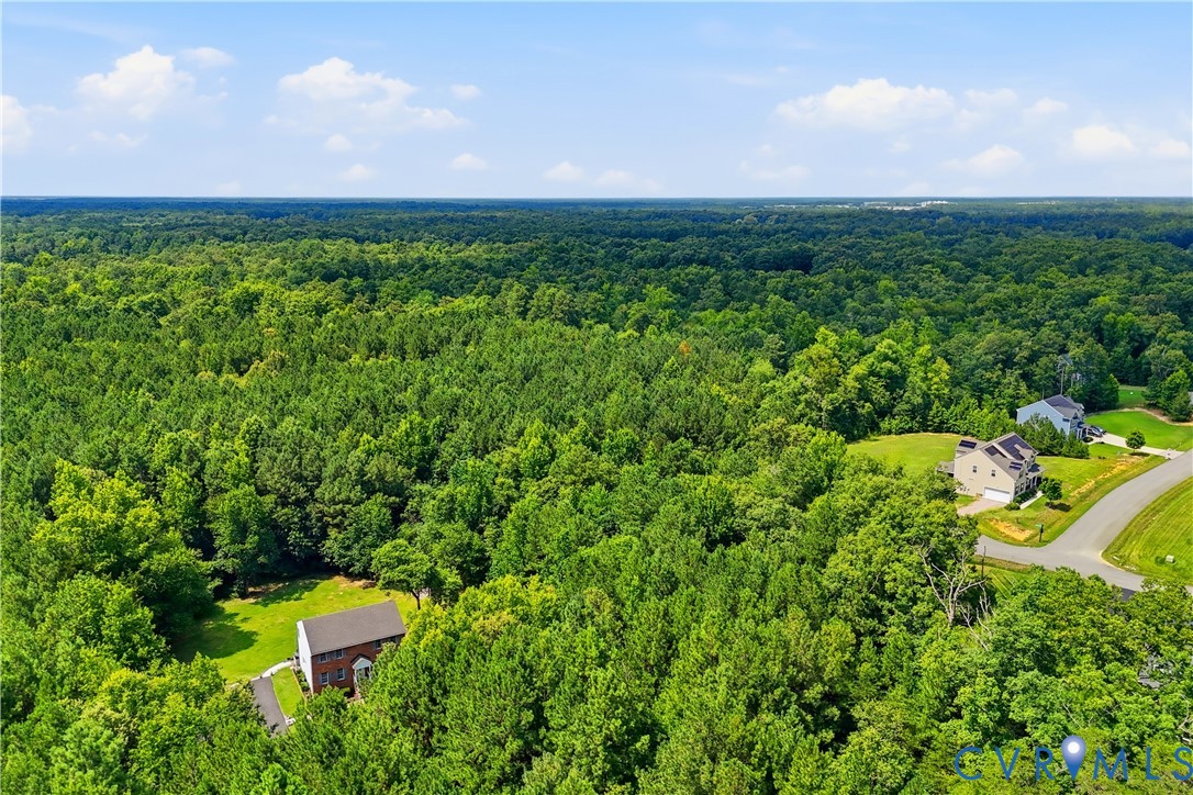 0 Darbytown Road Henrico, VA 23231 - Photo 7 of 11 Expansive wooded landscape with diverse tree cover