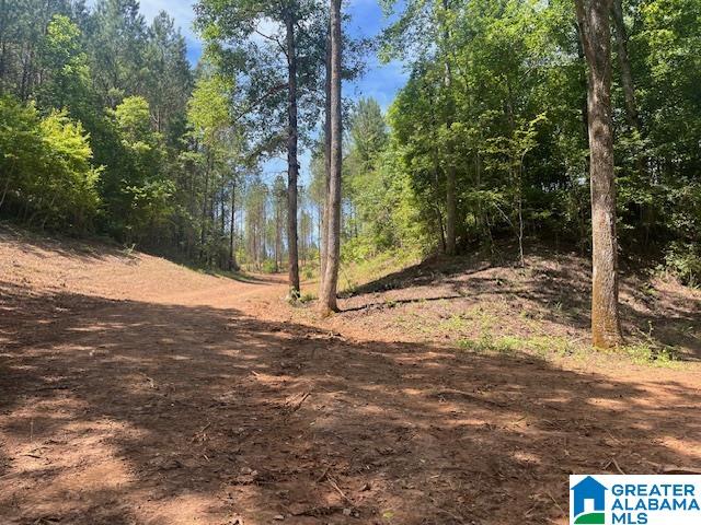 Pate Road Lineville, AL 36266 - Photo 2 of 5