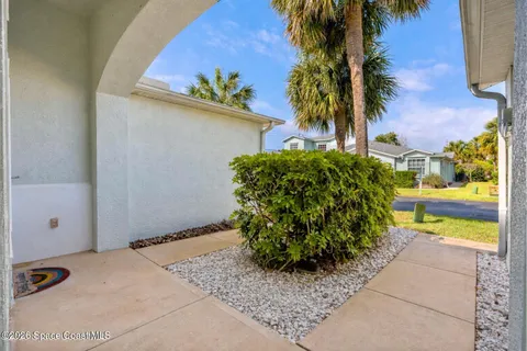 a potted plant sitting in front of a house
