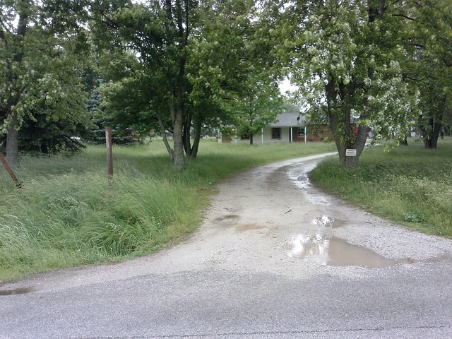 31556 South State Line Road Beecher, IL 60401 - Photo 3 of 25 a view of a park with large trees
