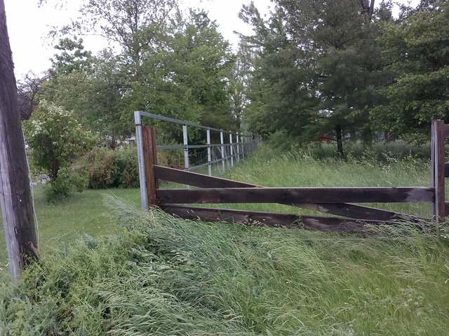 31556 South State Line Road Beecher, IL 60401 - Photo 5 of 25 a view of a backyard