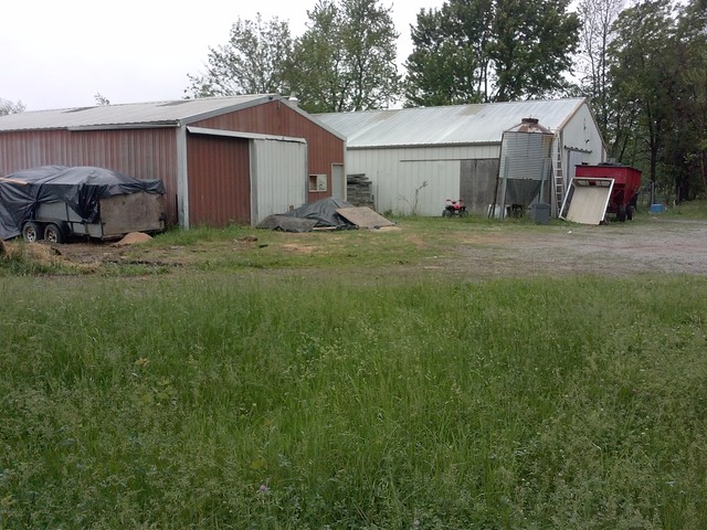 31556 South State Line Road Beecher, IL 60401 - Photo 8 of 25 a view of a barn in the back yard