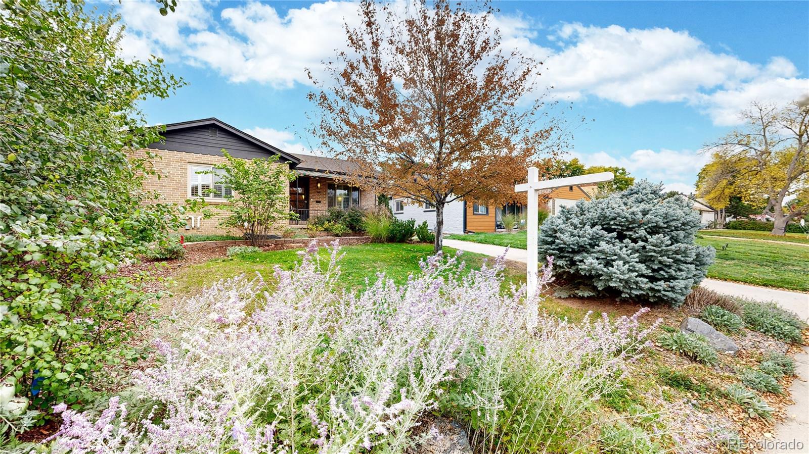 940 Grape Street Denver, CO 80220 - Photo 4 of 50