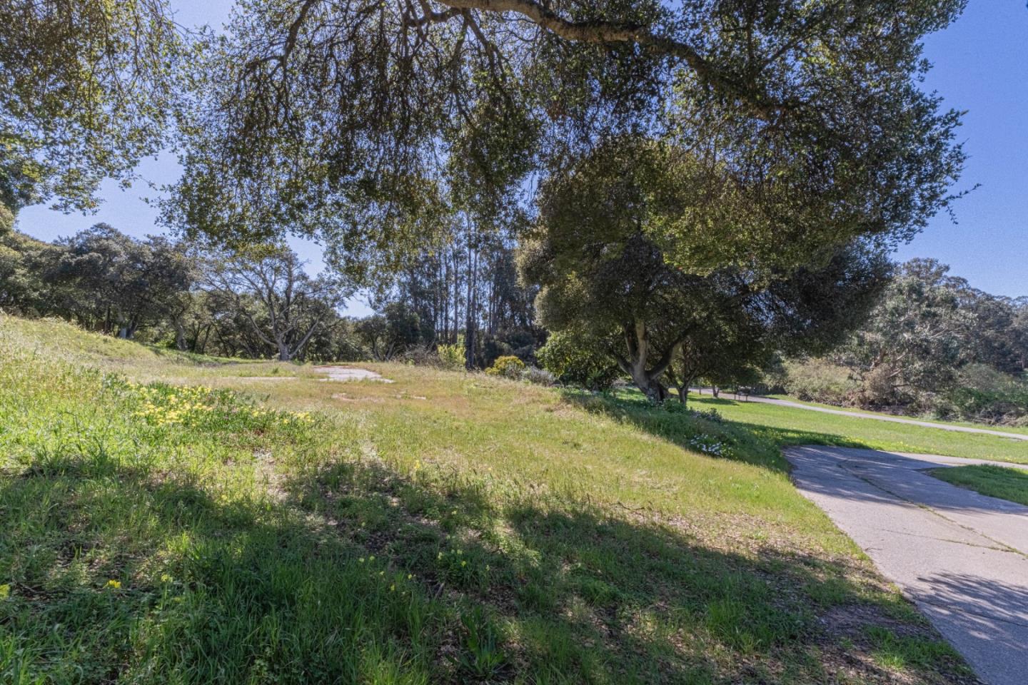 16787 Blackie Road Salinas, CA 93907 - Photo 11 of 16 a view of yard with tree
