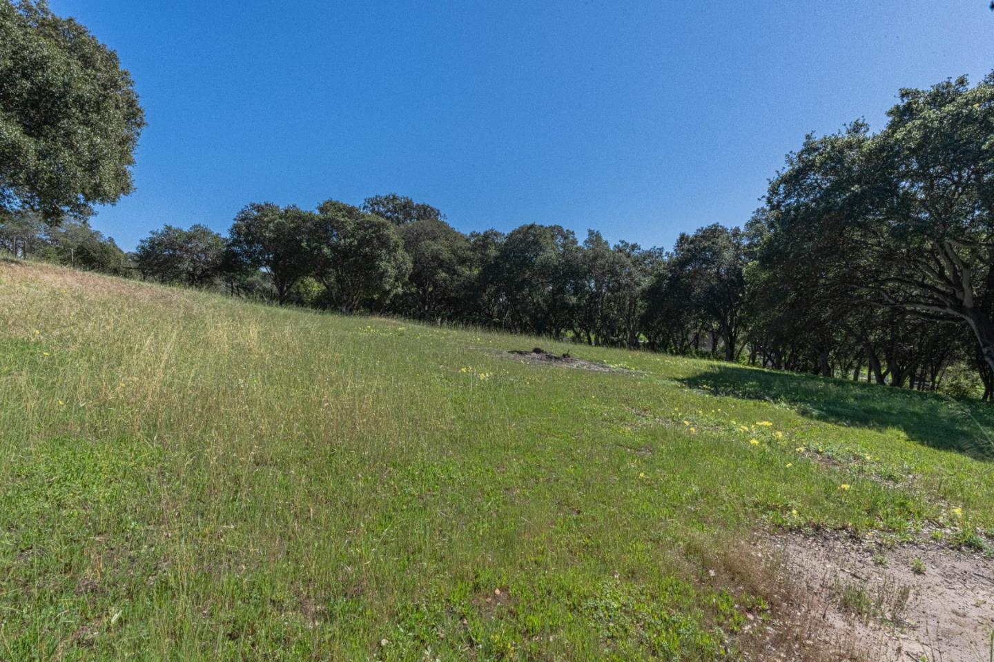 16787 Blackie Road Salinas, CA 93907 - Photo 14 of 16 a view of a field with an ocean