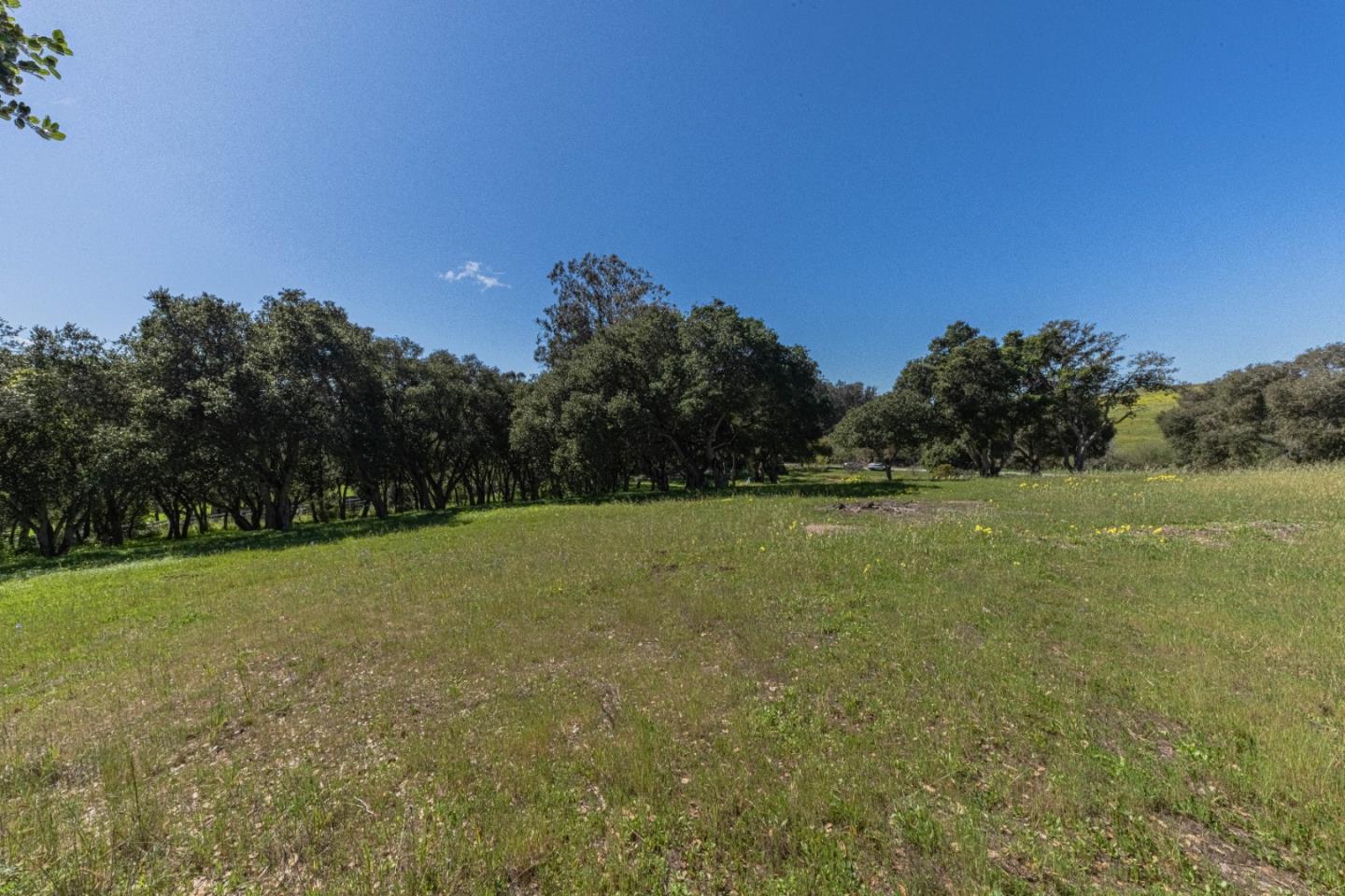 16787 Blackie Road Salinas, CA 93907 - Photo 15 of 16 a view of a field with trees in background